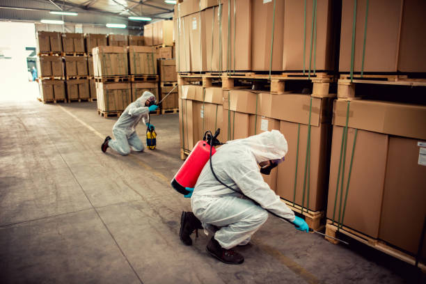 Best Mosquito Control Services  in Seacliff, CA
