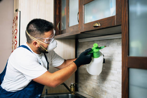 Best Cockroach Control Services  in Seacliff, CA