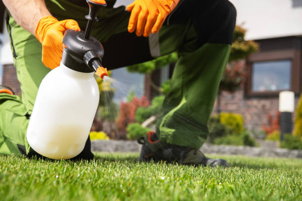 Best Wildlife Control Services  in Seacliff, CA