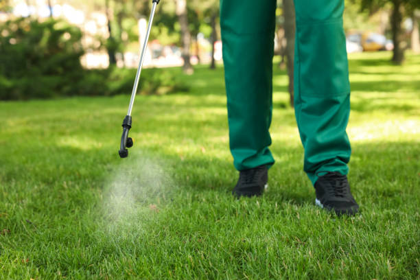 Best Flea Control Services  in Seacliff, CA