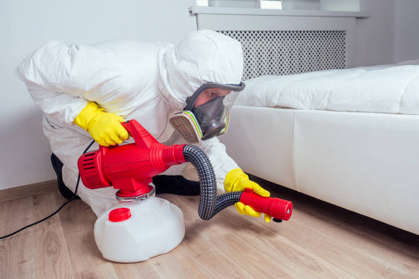 Best Pest Inspection Near Me  in Seacliff, CA