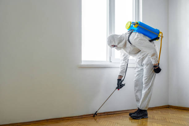 Best Ant Control Services  in Seacliff, CA