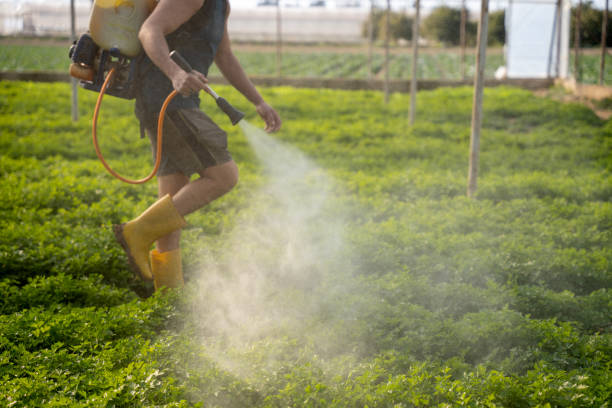 Best Emergency Pest Control  in Seacliff, CA