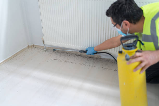 Best Exterminator Services  in Seacliff, CA