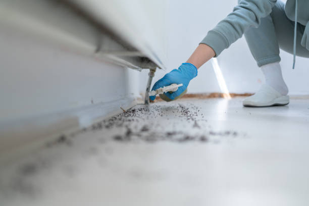 Seacliff, CA Pest Control Company