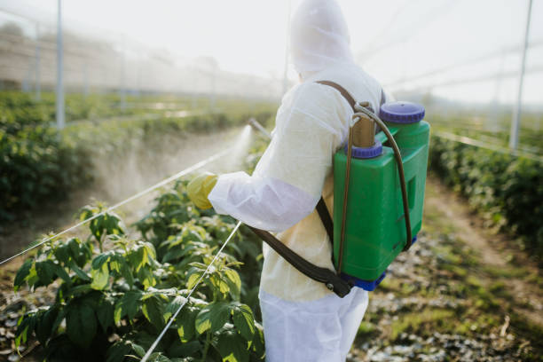 Best Bed Bug Extermination  in Seacliff, CA